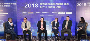 居然之家大兴店出席 &ldquo;聚焦北京南部发展新机遇&rdquo;主题论坛会